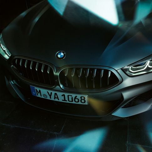 BMW M850i xドライブ グラン クーペ、キドニーグリル BMW M850i xドライブ グラン クーペ、デザイン、キドニーグリル