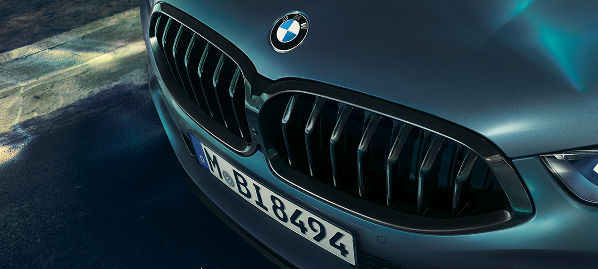 BMW M850i クーペ FIRST EDITION BMWキドニーグリル BMW M850i クーペ FIRST EDITION BMWキドニーグリル詳細