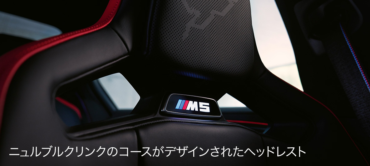 ニュルブルクリンクのコースがデザインされたヘッドレスト ニュルブルクリンクのコースがデザインされたヘッドレスト