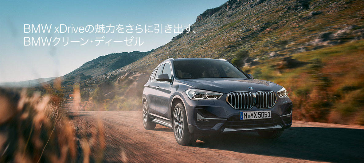 xdrive-20190531-img02-xxl.jpg BMW X1 xDrive18d