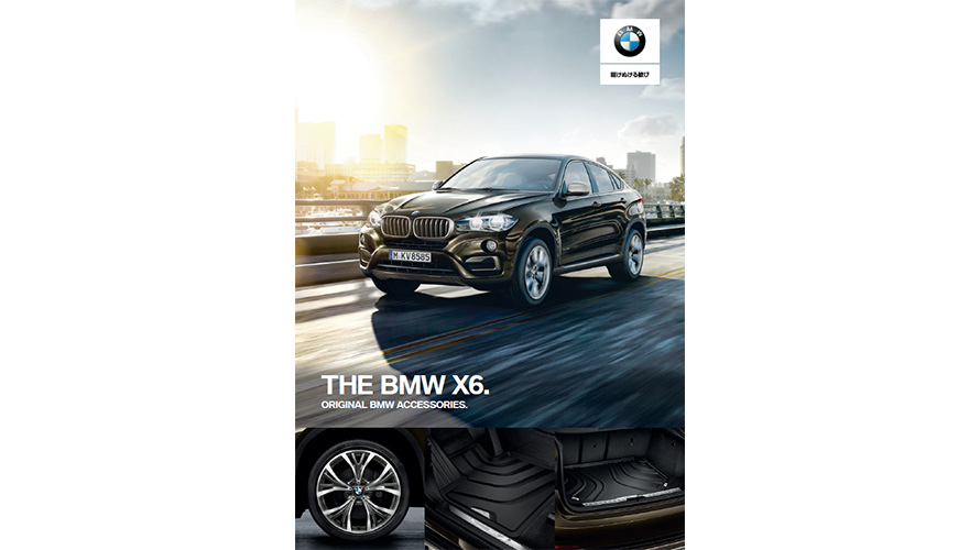 BMW X6 BMW X6
